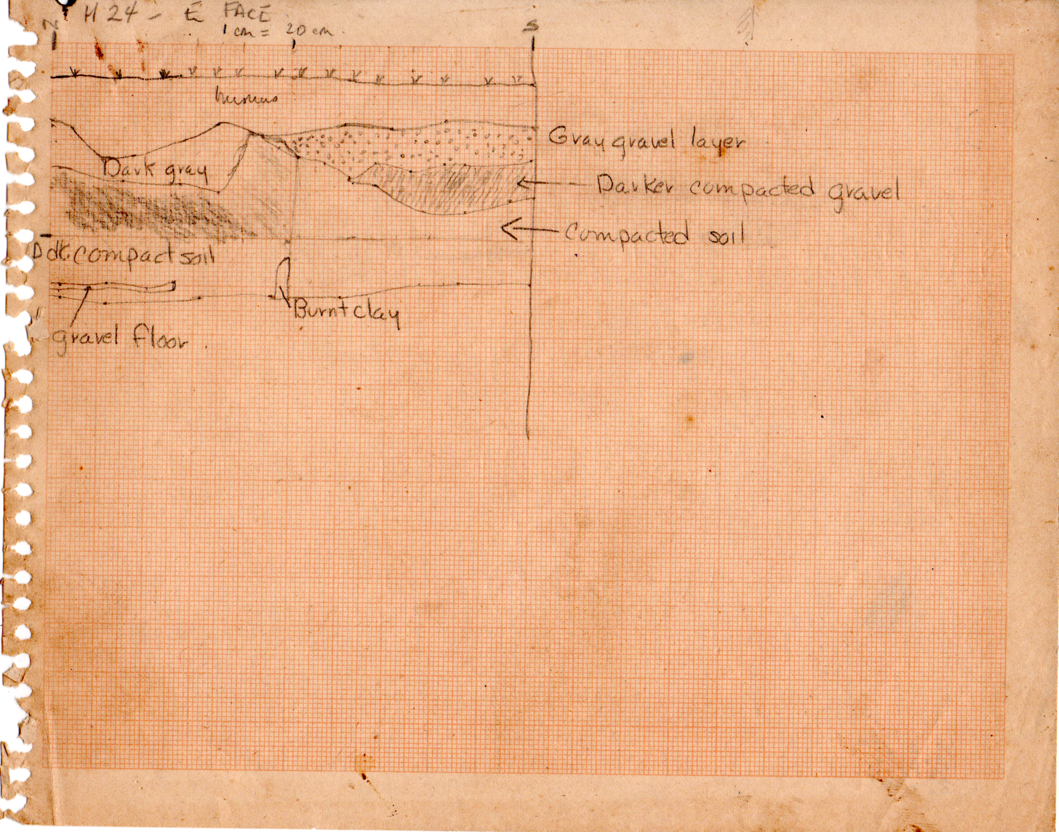 Stratigraphic Drawing