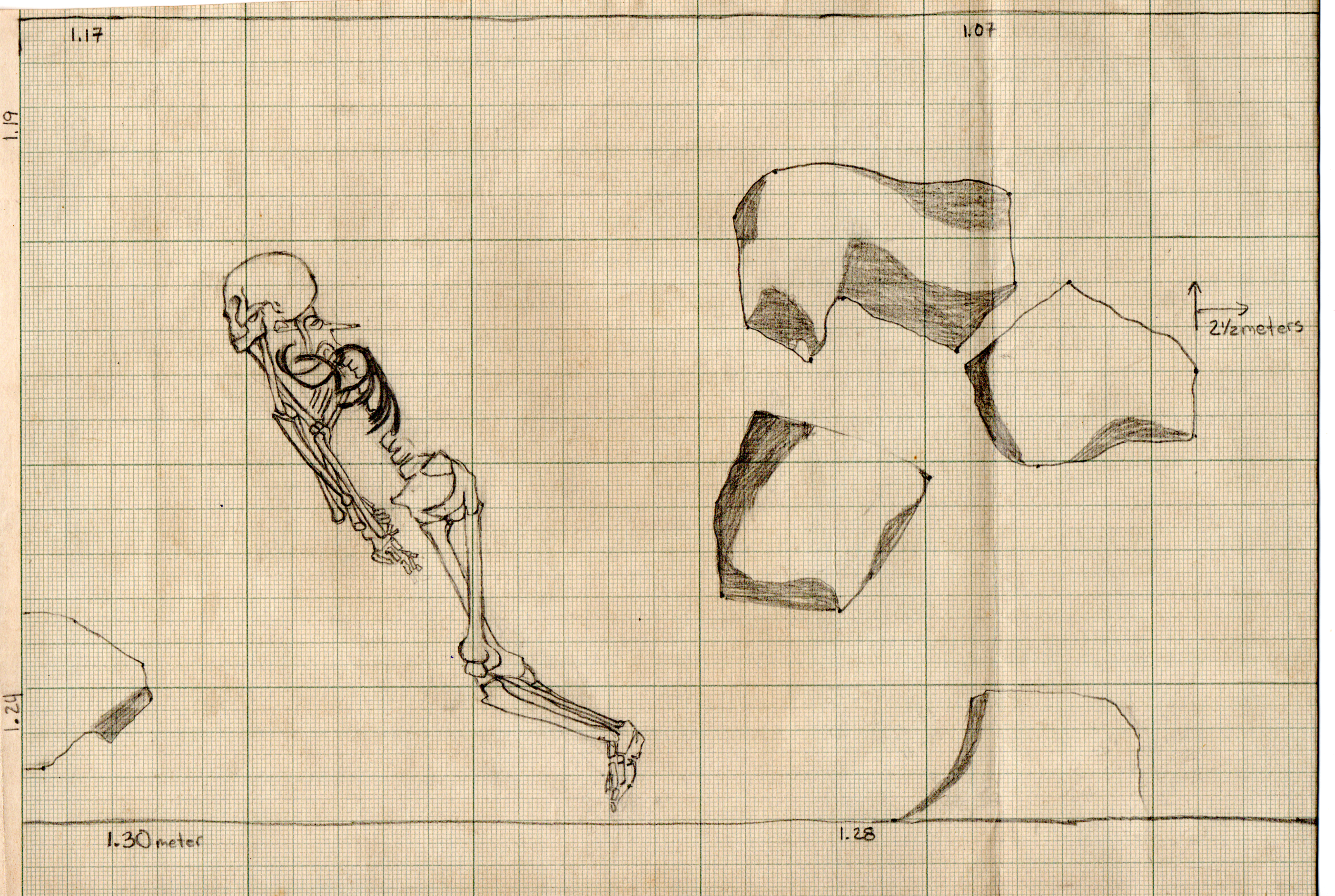 Excavated Burial (actual image)