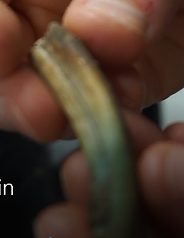 Horse tooth