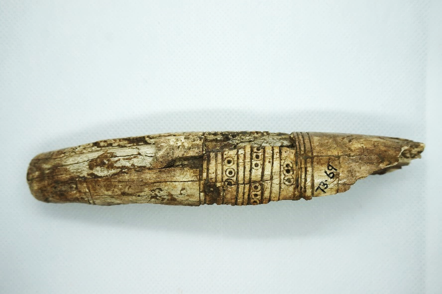 Ivory Trumpet